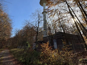 Märchenhütte am Fernsehturm Herbstimpressionen Herbstlicher Waldweg mit Sendeturm unter blauem Himmel, Sonnenlicht fällt durch bunte Blätter.