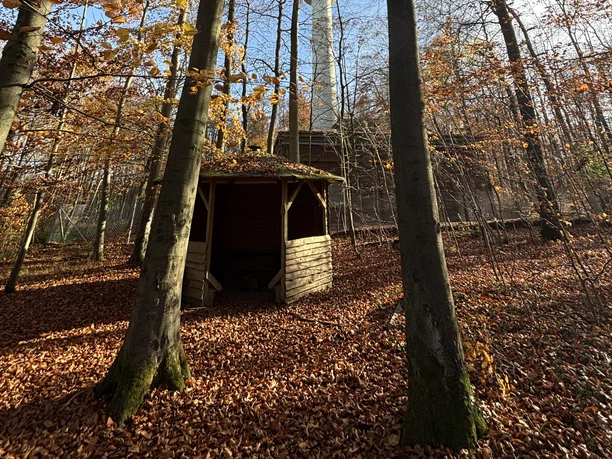 Märchenhütte am Fernsehturm Herbstimpressionen Herbstlicher Laubwald bei Einbeck mit hölzerner Schutzhütte und Fernmeldeturm im Sonnenlicht