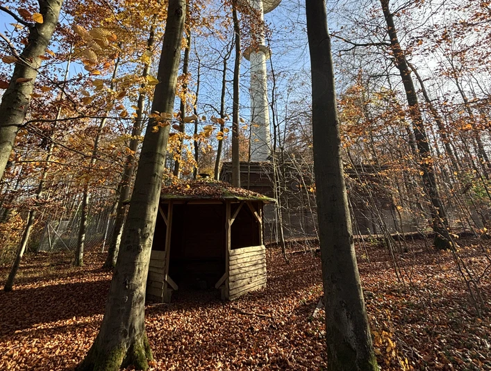 Märchenhütte am Fernsehturm Herbstimpressionen Herbstlicher Laubwald bei Einbeck mit hölzerner Schutzhütte und Fernmeldeturm im Sonnenlicht