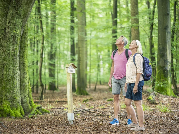 Ein Paar auf dem Waldlehrpfad