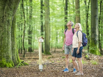Waldlehrpfad Buchwedel Ein Paar auf dem Waldlehrpfad