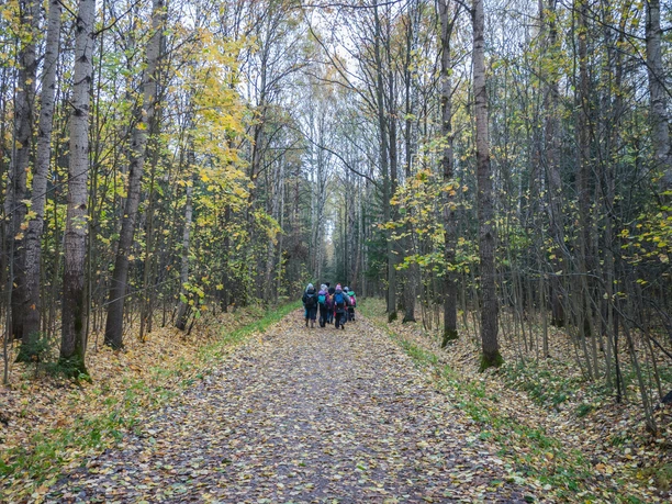 Geführte Wanderung 3-freepik.jpg
