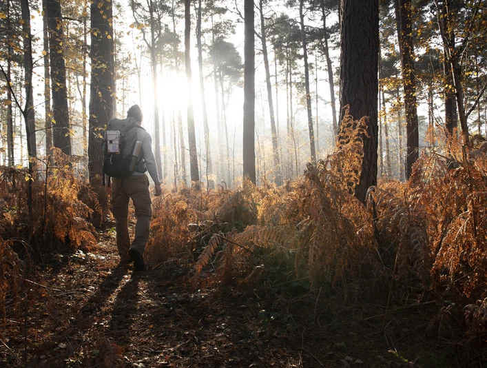 Geführte Wanderung 4-freepik.jpg