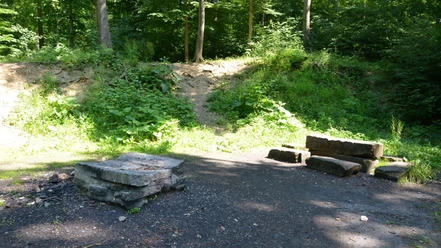 Öffentlicher Grillplatz im Salzgitter Höhenzug bei Lichtenberg