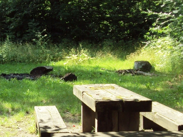 Grillplatz_Salder (5)_HD.JPG Holzbank und Tisch auf einer grünen Waldlichtung. Im Hintergrund liegt eine offene Feuerstelle.