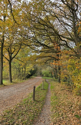 Herbstlicher Anblick