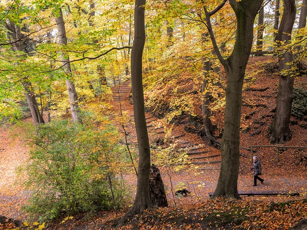 Dreibergen