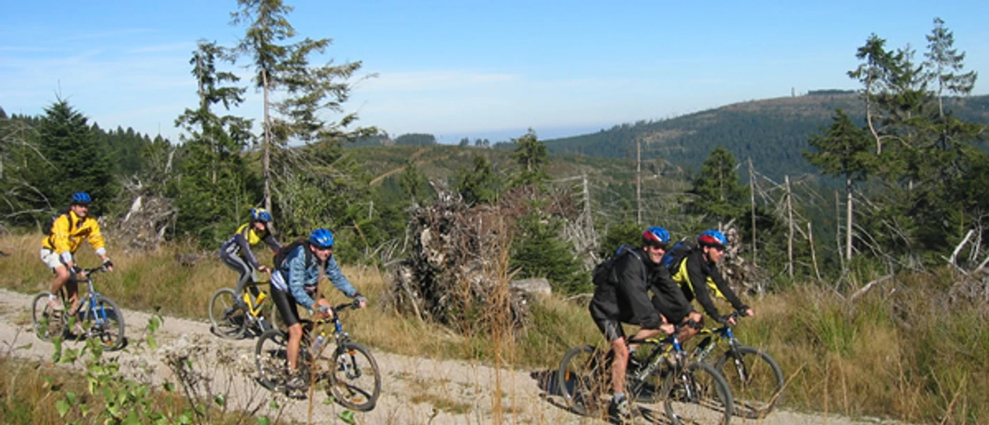 Mountainbiker Richtung Hundsbach unterwegs