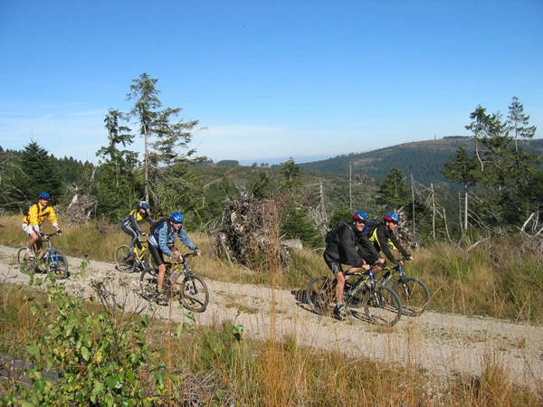 Mountainbiker Richtung Hundsbach unterwegs