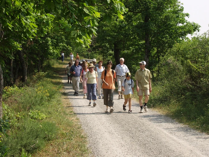 Wanderer Gernsbacher Runde