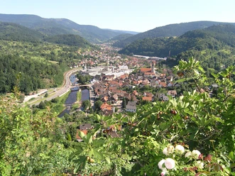 Blick vom Schloss auf das Murgtal