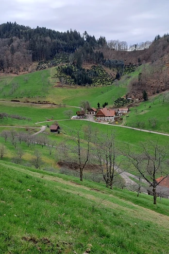 Blick ins Simmersbach Tal