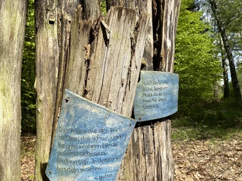 Ars-Natura im Melsunger Stadtwald