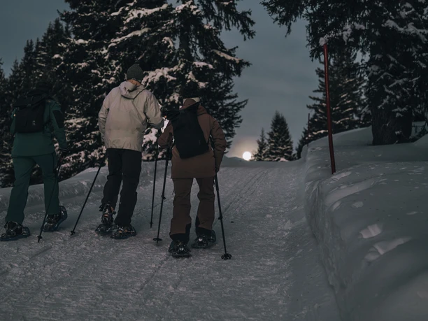 Schneeschuhtour Vollmondfondue Bettmeralp Schneeschuhtour Vollmondfondue Bettmeralp