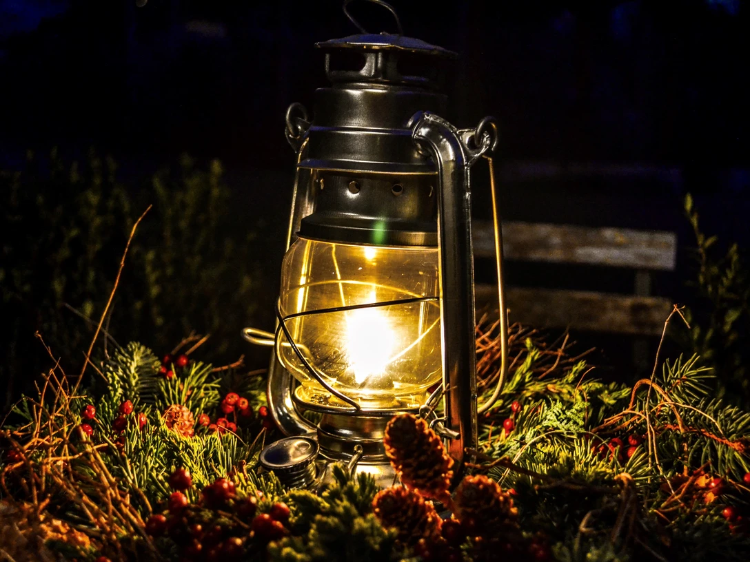 Laterne Grünzeug quer_Moritz Clormann.jpg