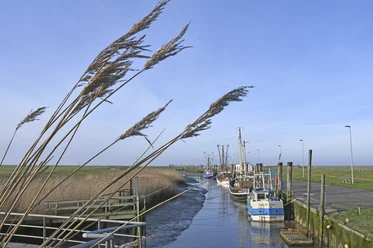 Kutterhafen Spieka-Neufeld