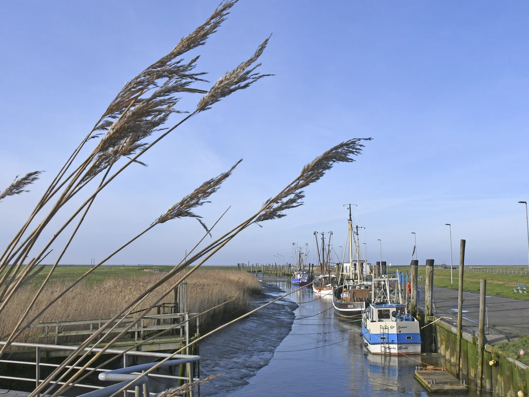 Kutterhafen Spieka-Neufeld