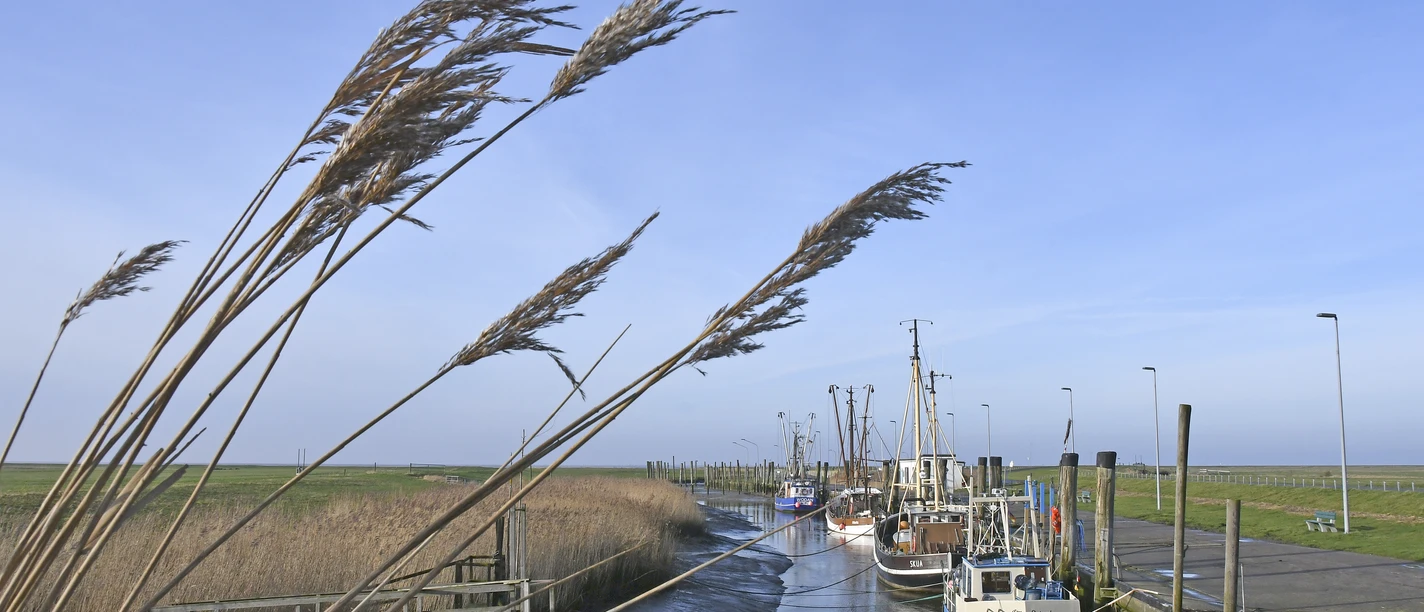 Kutterhafen Spieka-Neufeld
