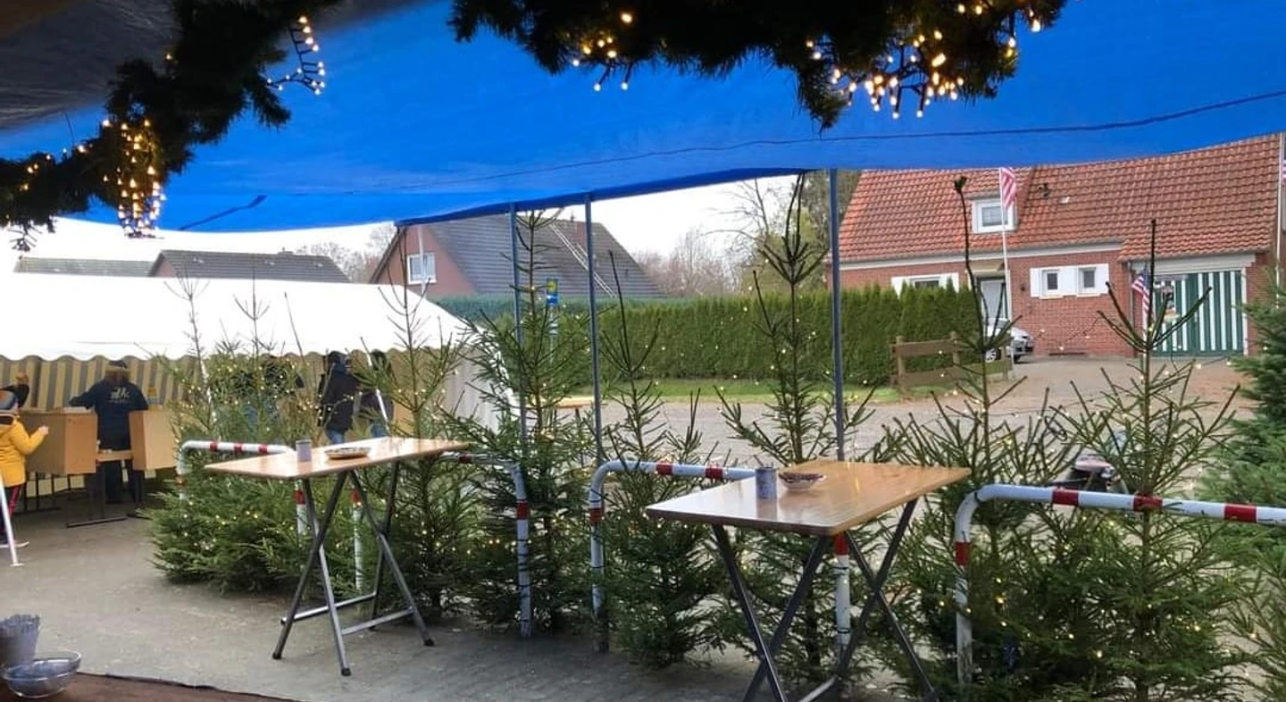 WhatsApp Bild 2025-11-13 um 17.20.10_3b4c7c06.jpg Blick durch blaues Zeltdach auf mehrere Stehtische mit kleinen Tannenbäumen davor und Weihnachtsbeleuchtung am Zeltgestänge.