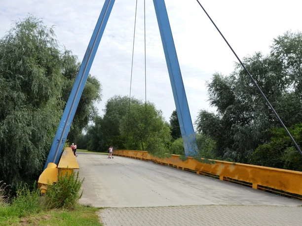 Pylonenbrücke zur Insel im Salzgittersee