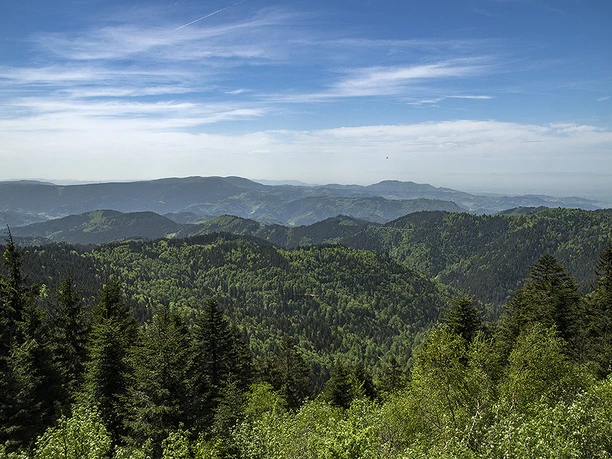 Aussicht Steinmäuerle