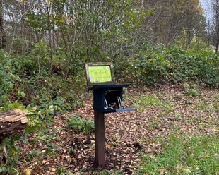 Stempelstelle-Nordsee-Reisepass-Torfspitt-Kayhausen-Bad-Zwischenahn.jpg Stempelstelle im Torfspitt mit Infotafel und Stempelbox, umgeben von Laub und grünen Sträuchern.