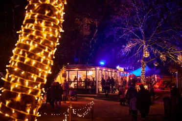 A festively illuminated winter market at dusk, visitors stroll along colorful lights.