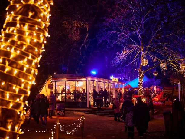 A festively illuminated winter market at dusk, visitors stroll along colorful lights.