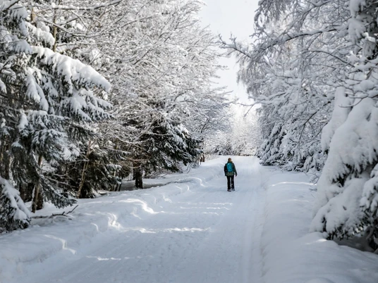 Winterwandern in der Urlaubsregion Altenberg