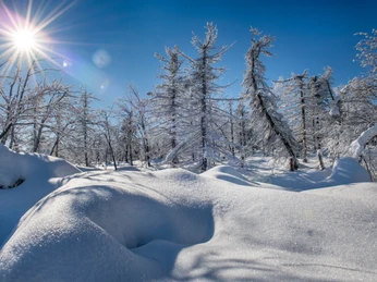 Winter in der Urlaubsregion Altenberg
