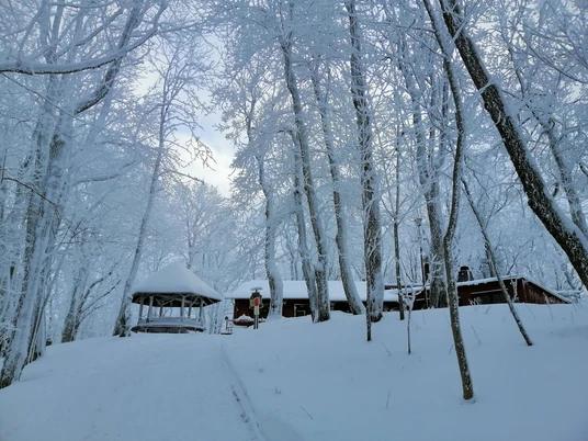 Auf dem Geisingberg im Winter
