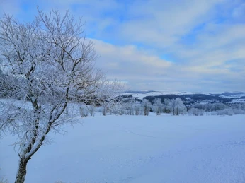 Winter in der Nähe vom Geisingberg