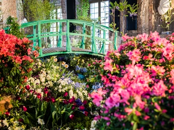 Palais_im_Grossen_Garten_Dresden_TPR4368 (c) Sebastian Thiel (4).jpg