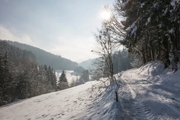 Das Reichenbachtal im Winter
