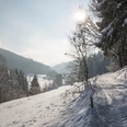 Das Reichenbachtal im Winter