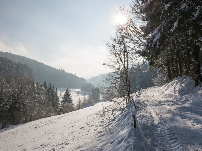 Das Reichenbachtal im Winter