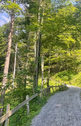 Strasse von Morschach auf Stoos