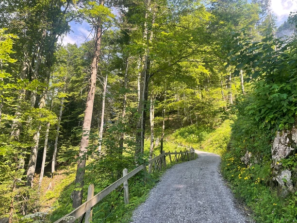 Strasse von Morschach auf Stoos