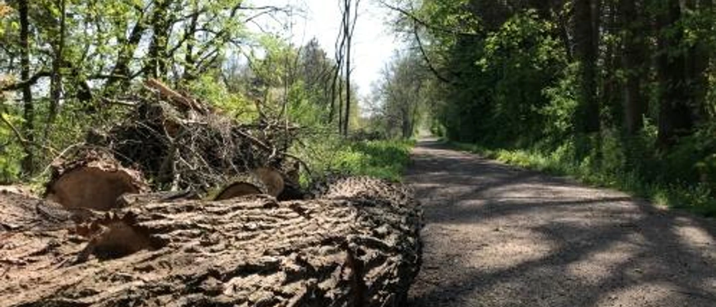 Wanderweg