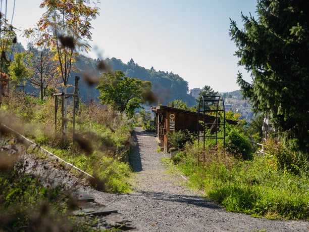 Jardin d'exposition de la biodiversité Musegg