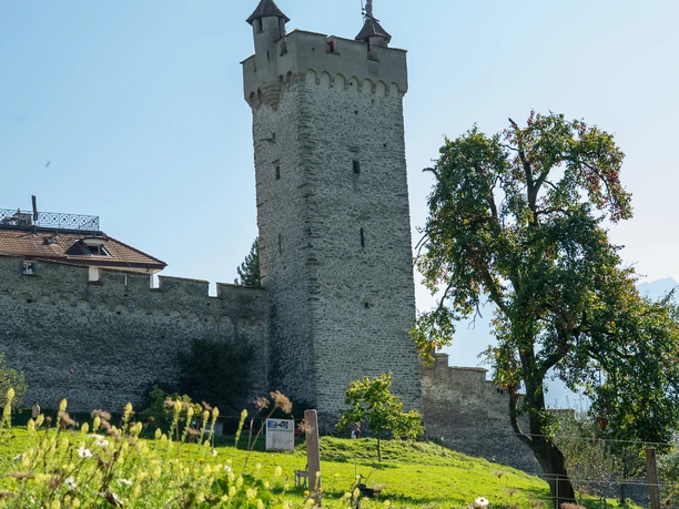 Jardin d'exposition de la biodiversité Musegg