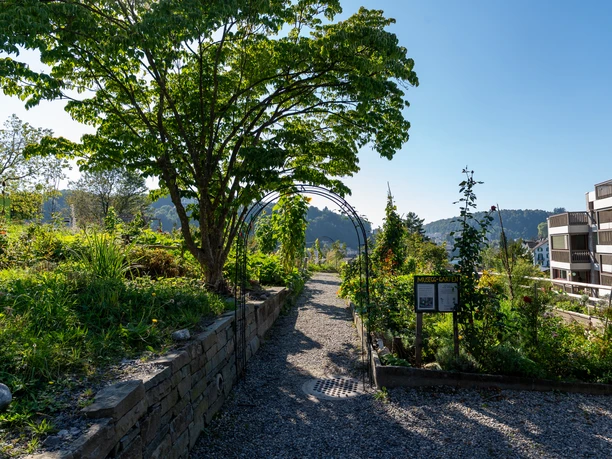 Jardin d'exposition de la biodiversité Musegg