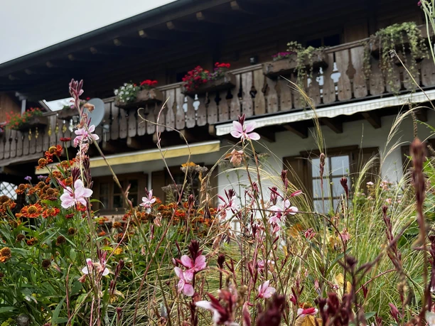 Herbsttöne um das Chalet