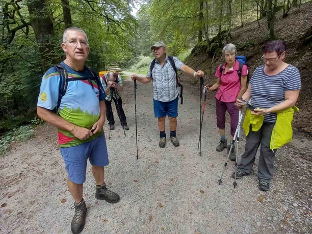 Wandergruppe im Wald