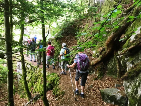 Wandergruppe im Wald
