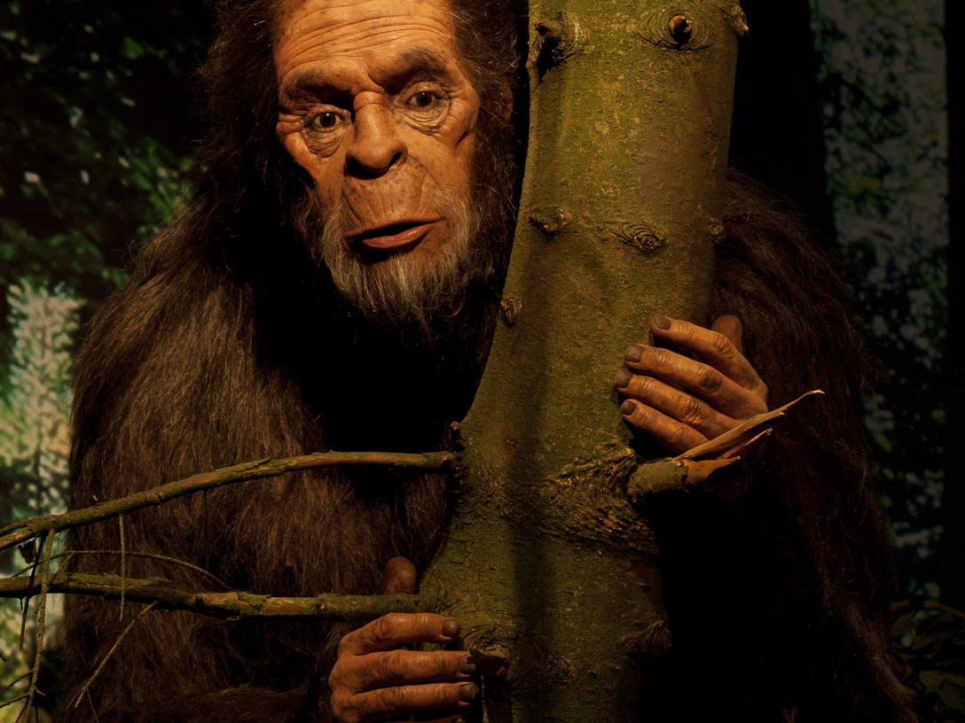 Museum Fantastische Wesen