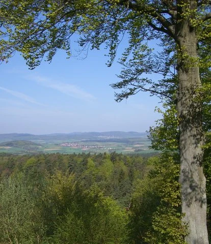 Burgwaldpfad