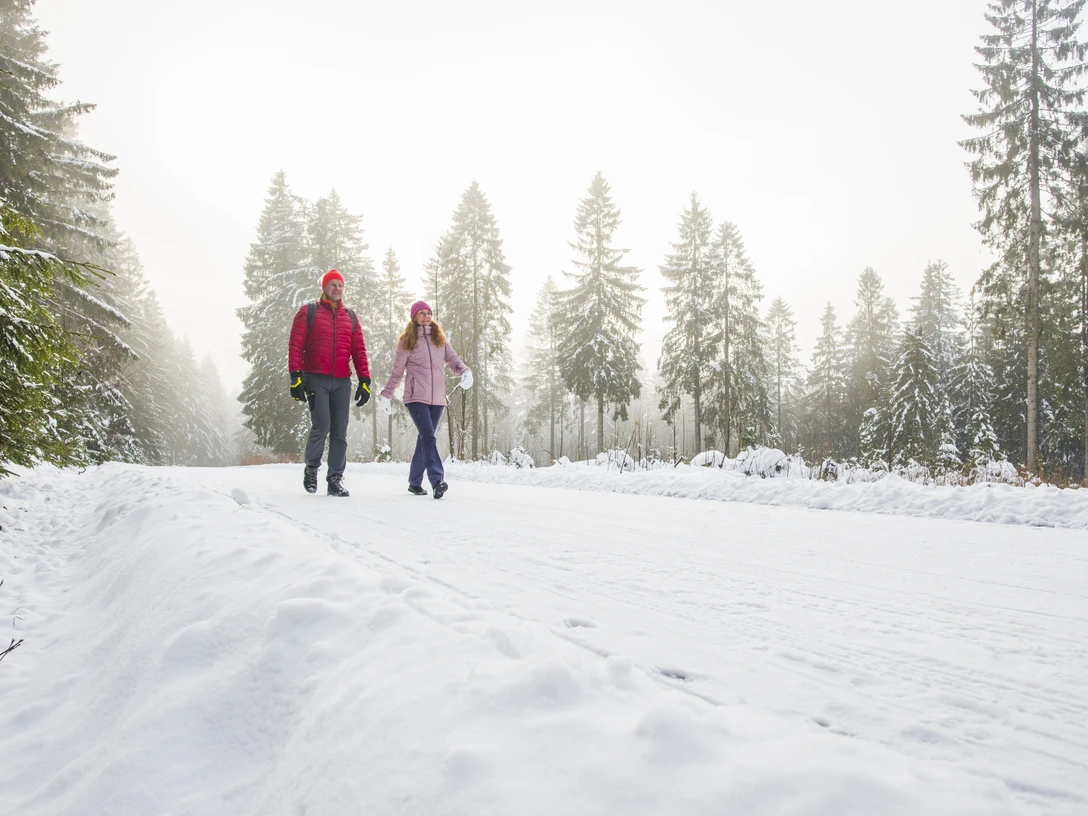 213-Shooting Langlauf Winterwandern - beim Schneckenstein _Archiv TVV_M.Daßler.jpg Zwei Menschen wandern im Winter entlang einer verschneiten Waldstraße.Two people are walking along a snow-covered forest road in winter.Dva lidé jdou v zimě po zasněžené lesní cestě.Dwie osoby idą zimą zaśnieżoną leśną drogą.Twee mensen lopen over een besneeuwde bosweg in de winter.Due persone camminano lungo una strada forestale innevata in inverno.