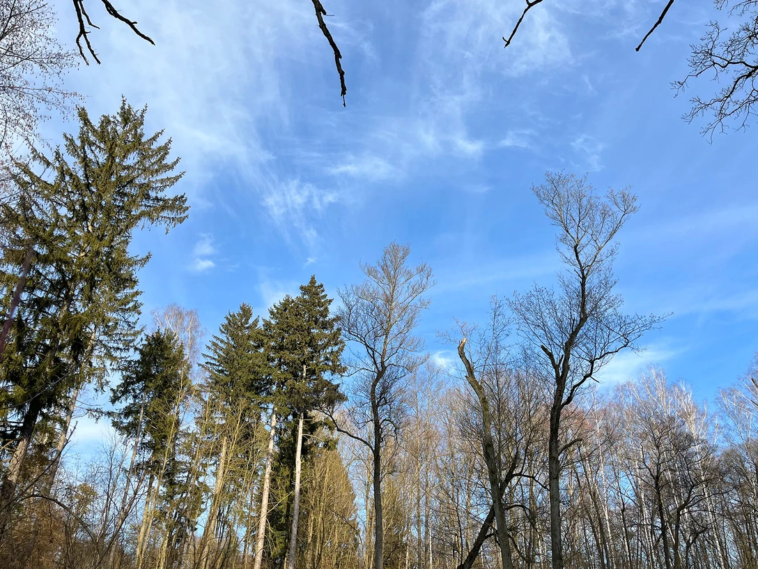 Widerstandskraft durch die Natur