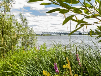 Elbe Elbe